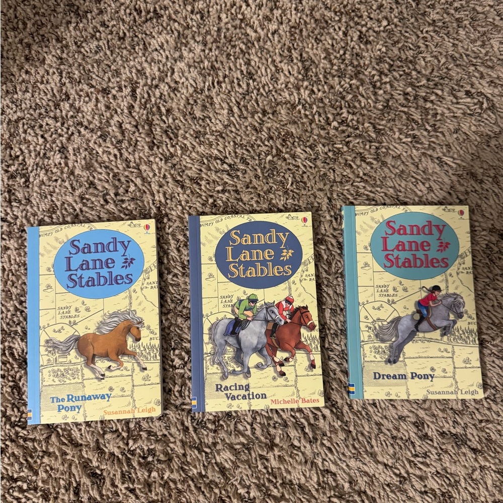 Sandy Lane Stables Book Set
